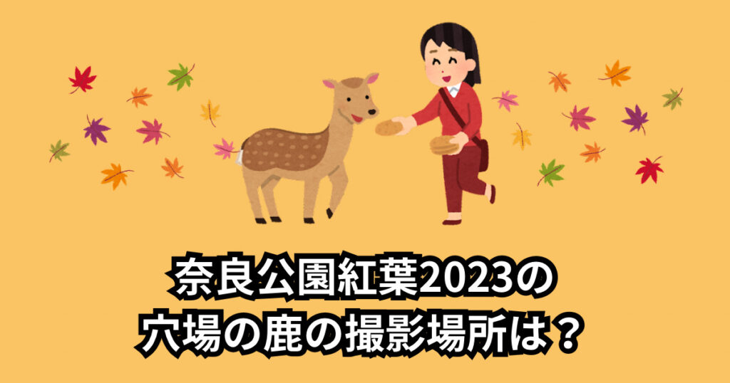 奈良公園紅葉2023写真スポット7選！穴場の鹿の撮影場所も!